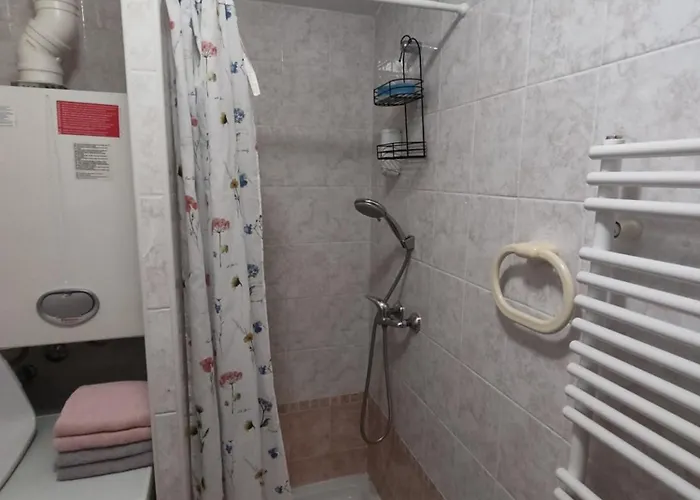 Apartma Marea アパート *